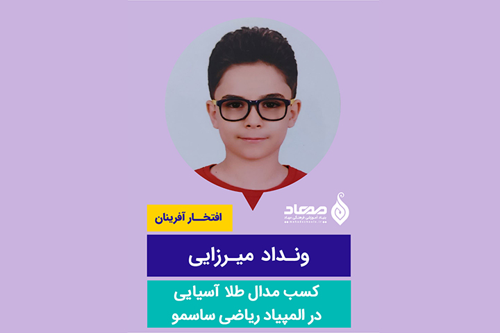 ونداد میرزایی، مدال طلای المپیاد ریاضی ساسمو