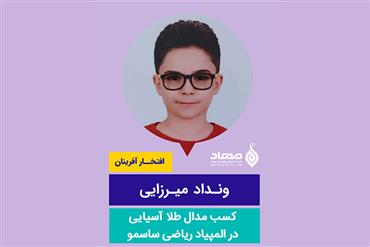 ونداد میرزایی، مدال طلای المپیاد ریاضی ساسمو