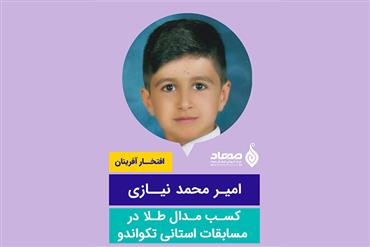 امیر محمد نیازی، مدال طلا در مسابقات استانی تکواندو