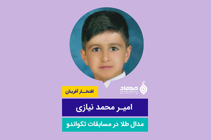 امیر محمد نیازی، مدال طلا در تکواندو