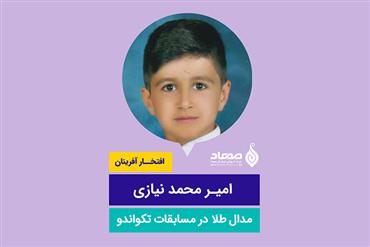 امیر محمد نیازی، مدال طلا در تکواندو